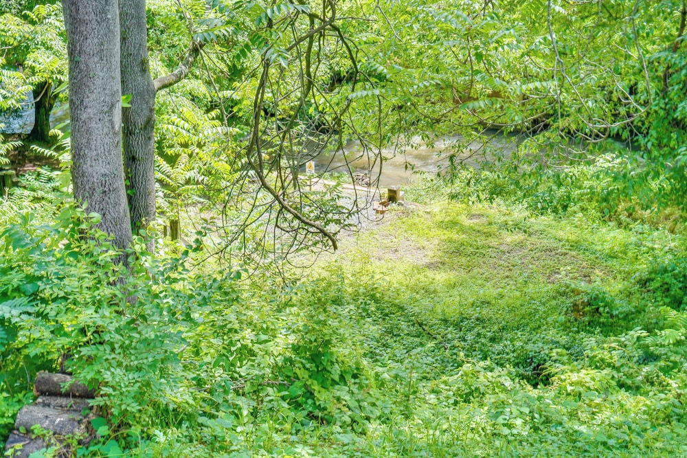 Walk to Historic Maryville: True Southern Getaway!