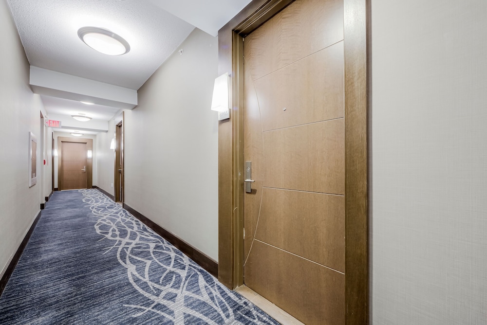 Stunning High Floor 1 Bedroom Condo Near Toronto General Hospital, U of T, TMU - Image 4