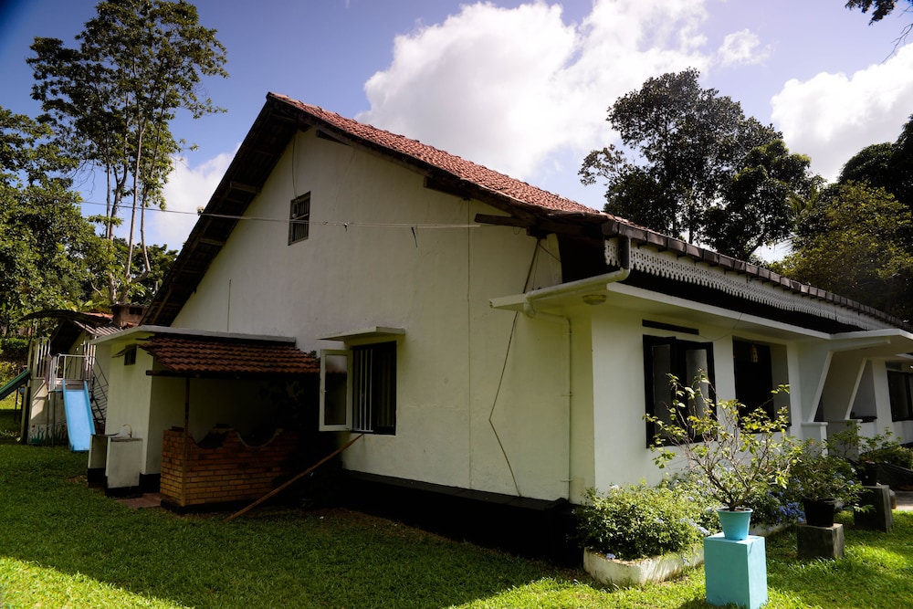Maggie Garden Hostel