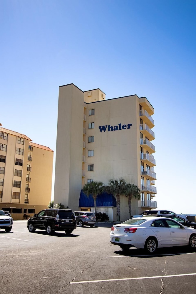 The Whaler B3