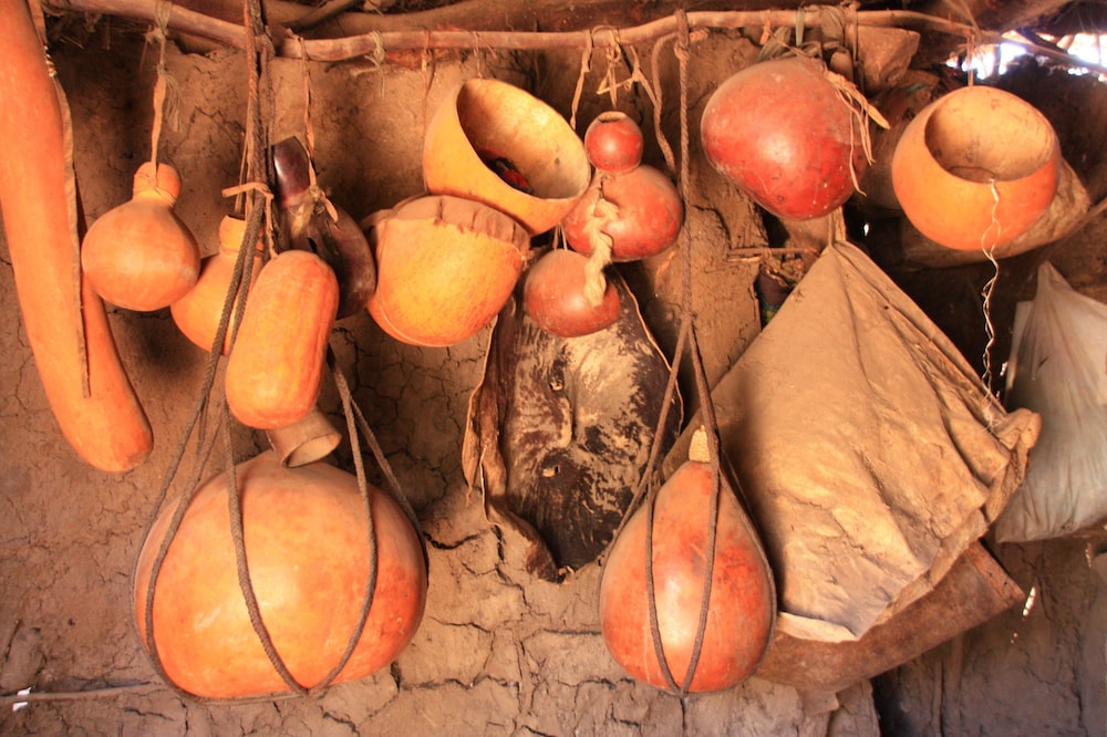 The Vijiji Center Lodge and Safari