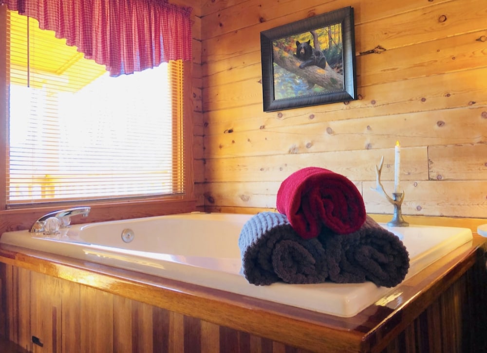 Eagles Nest 1 Bedroom Cabin