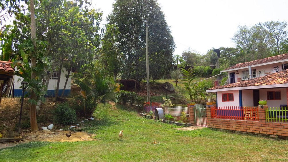 Photo 8