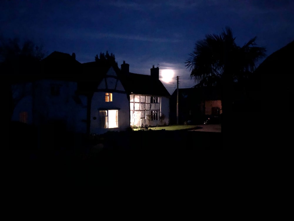 Photo 42