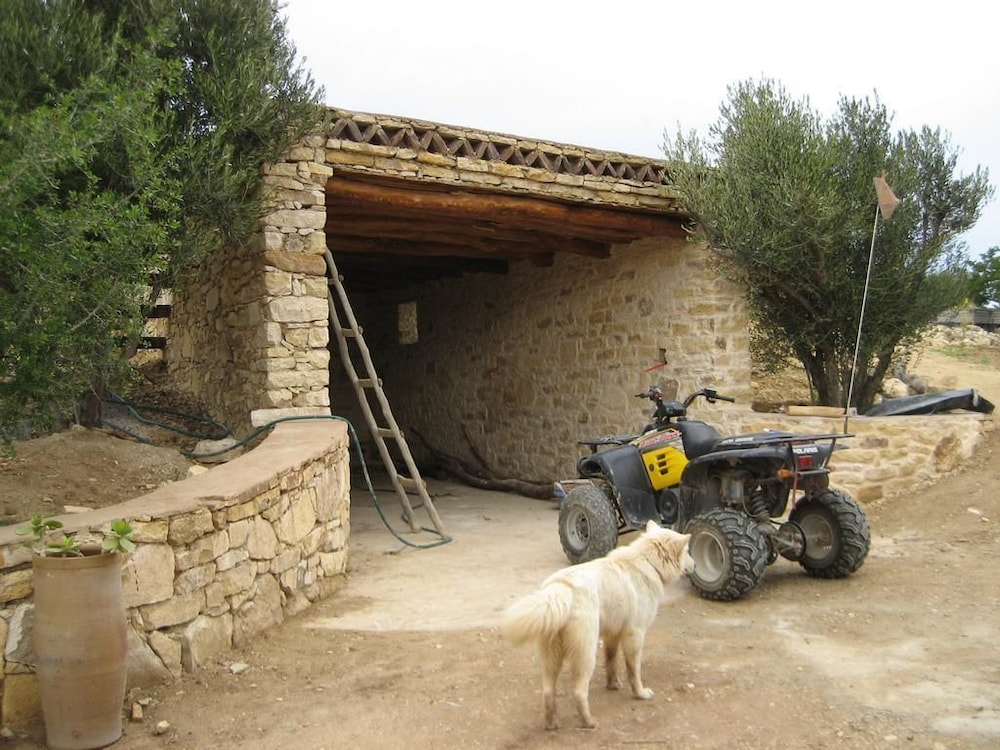 Domaine l'oliveraie