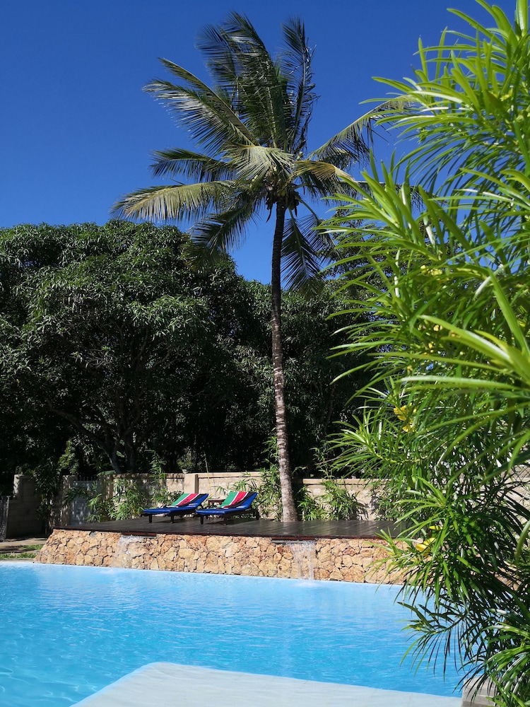 Jamboland-Diani