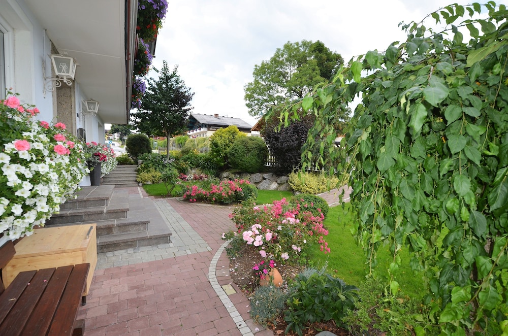 Photo 43