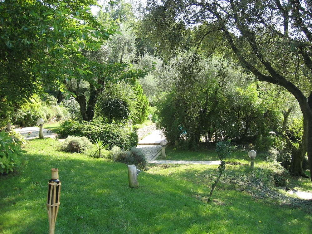 Photo 35