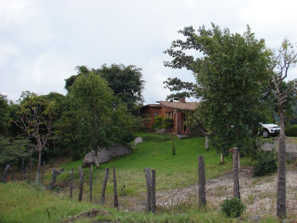 Photo 7