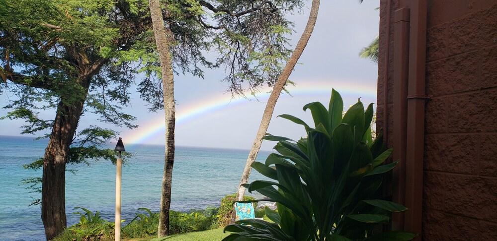 Kuleana Club - 502