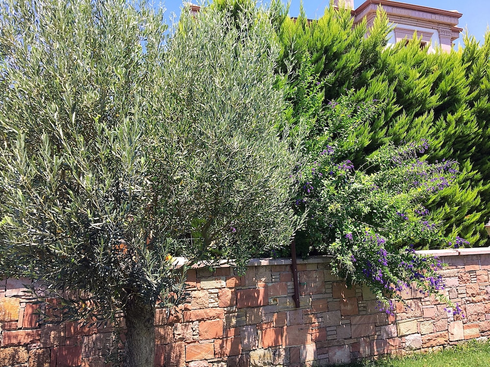 Vrodi By House - Image 45