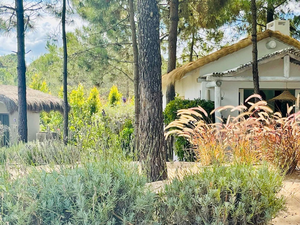 Cabana Lavanda Comporta by Boutique