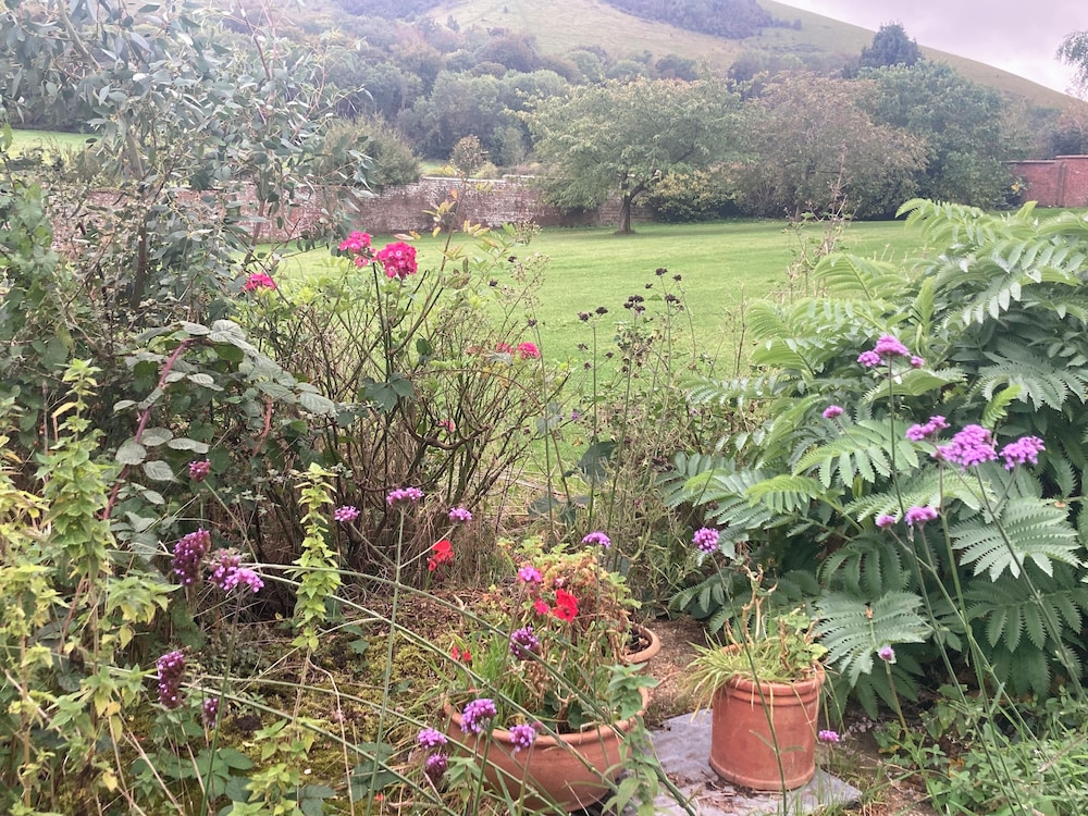 The Walled Garden