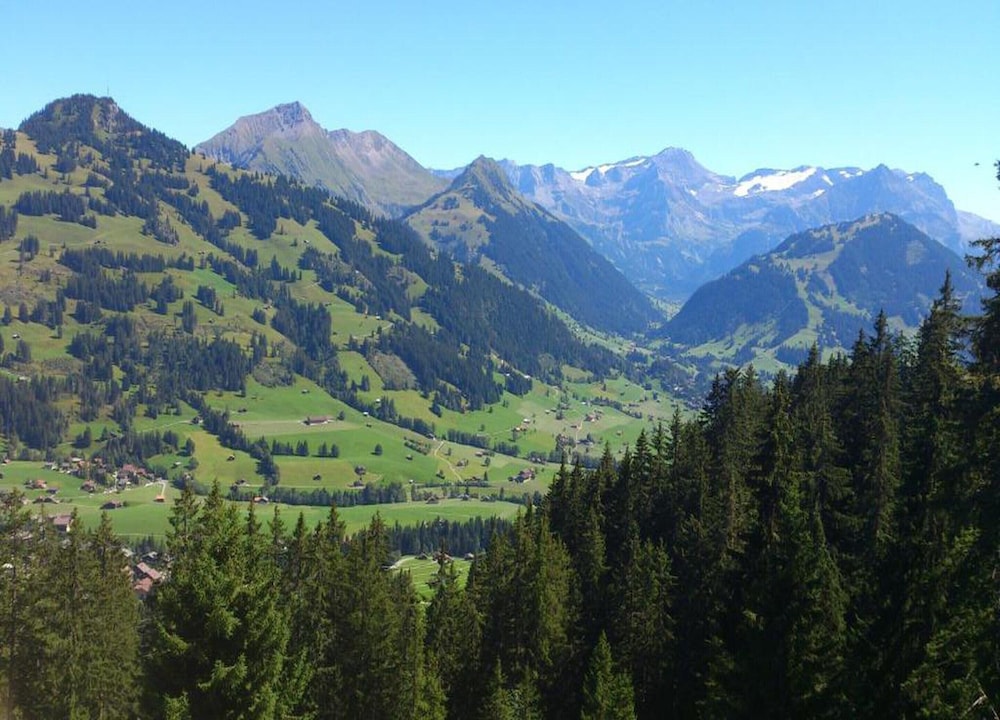 Contemporary Swiss Escape