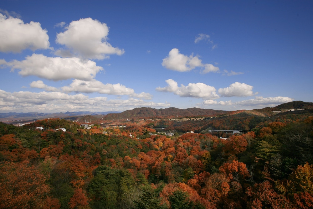 Arima Onsen Motoyu Ryuusenkaku