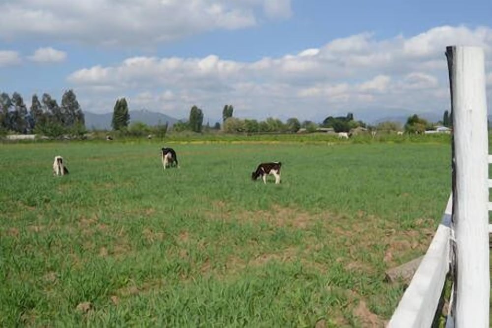 Casa Rural Reinaldo