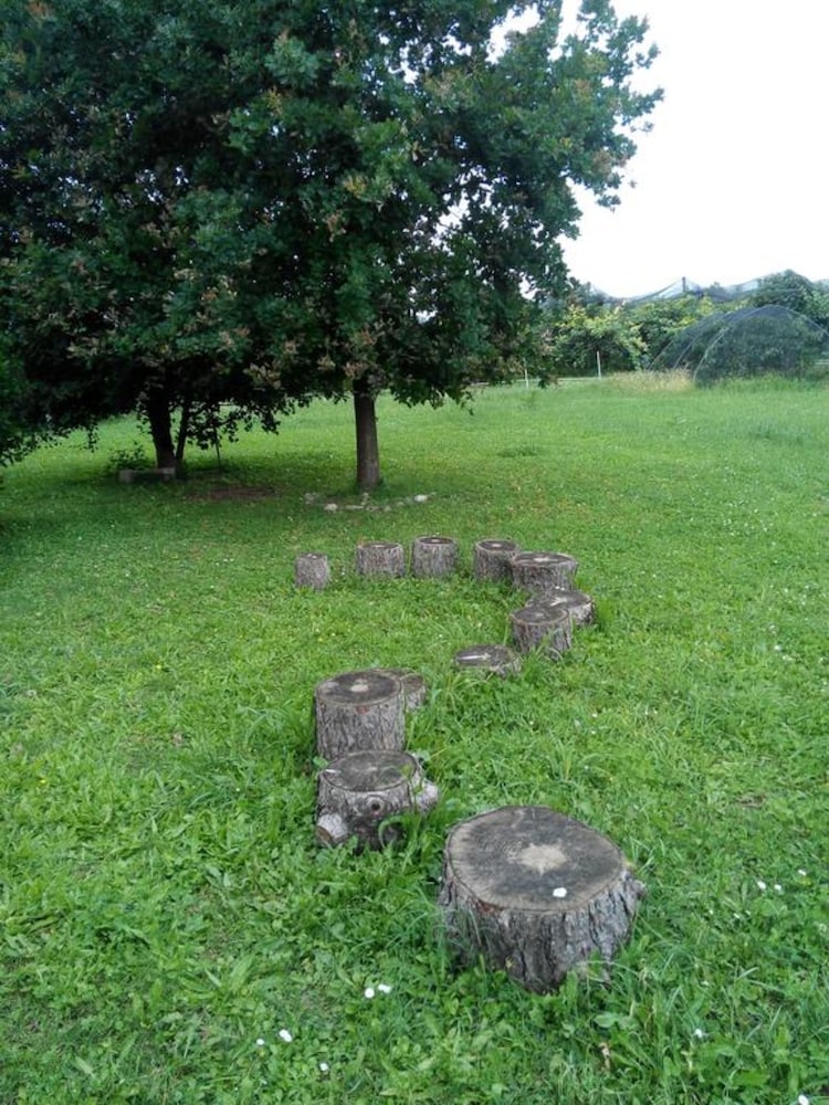 Agriturismo Ca' Del Ferro