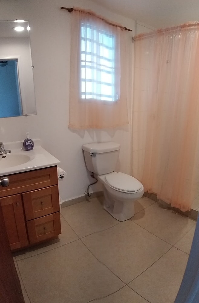 The Horny Toad Guesthouse