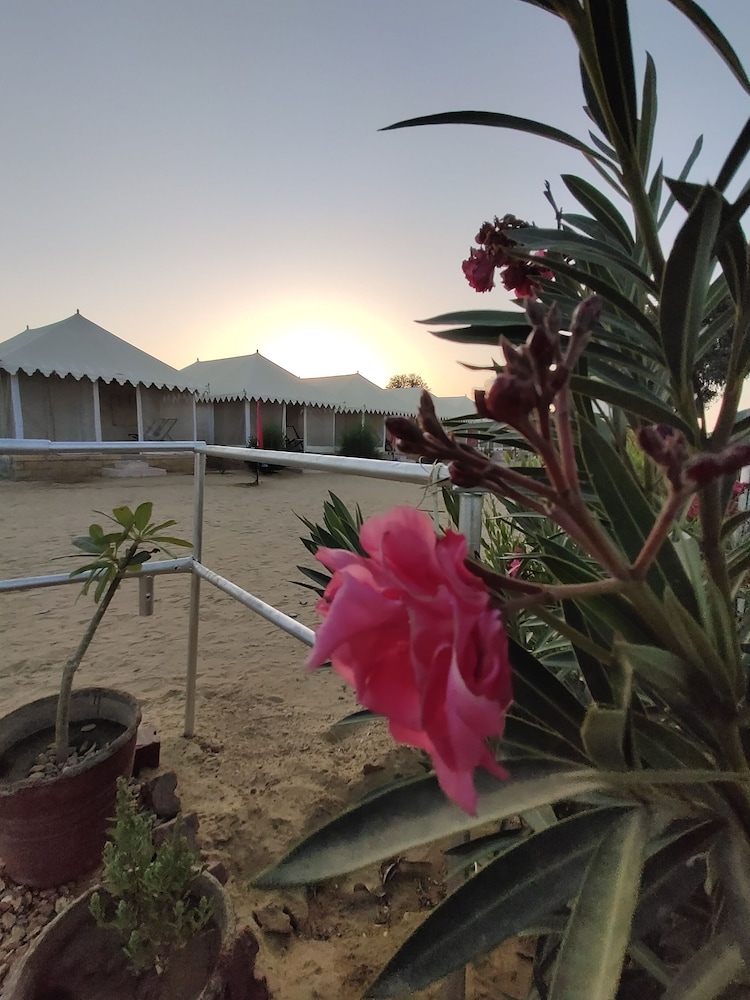 Kasam Desert Safari Camp