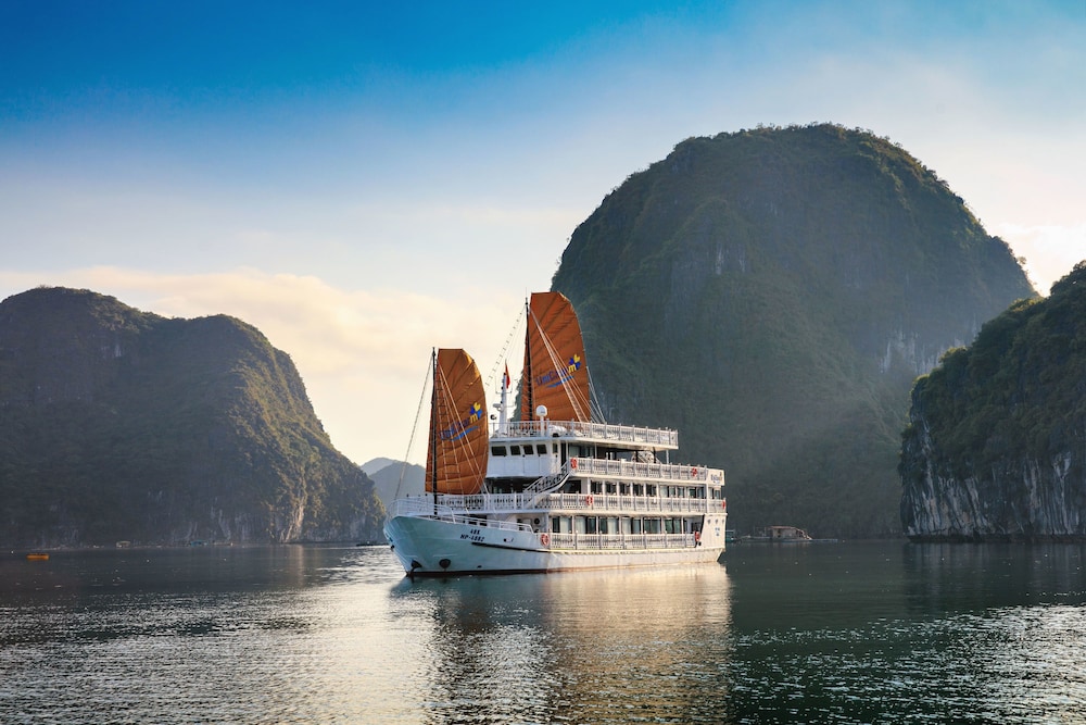 UniCharm Cruise