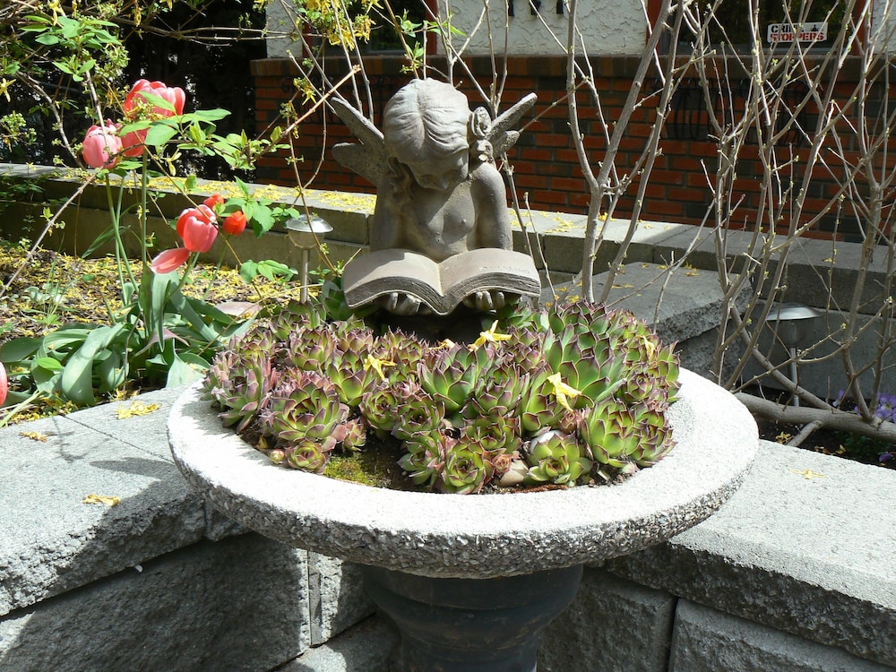 Photo 43