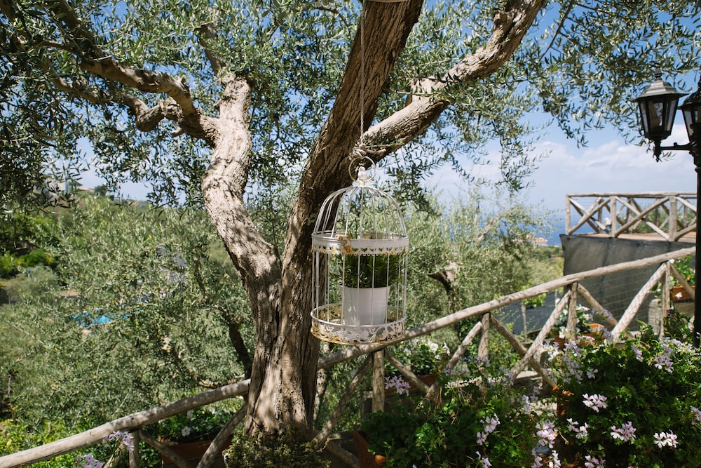 Villa Carolina Country House