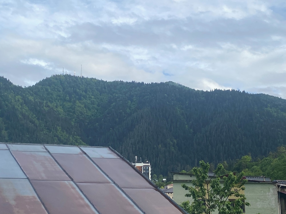 Hillside Guesthouse