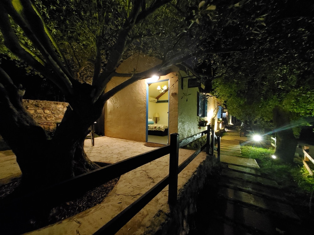 Photo 27