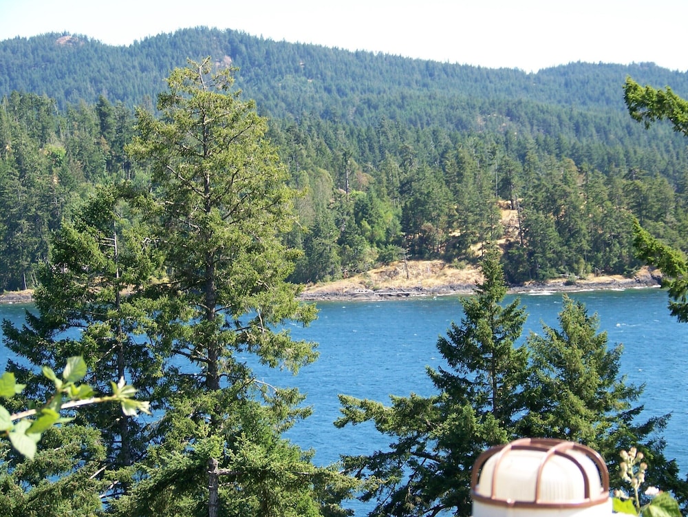 Moonlit Cove B&B