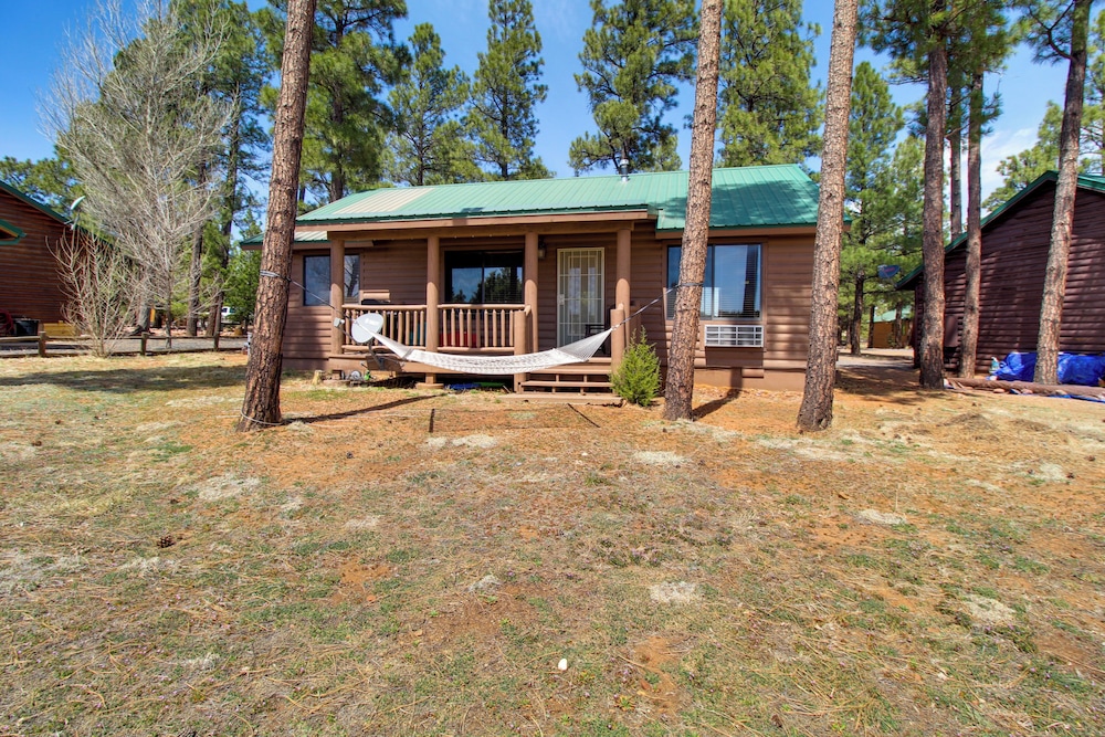 16 Mi to Sitgreaves: Overgaard Cabin w/ Porch view 3