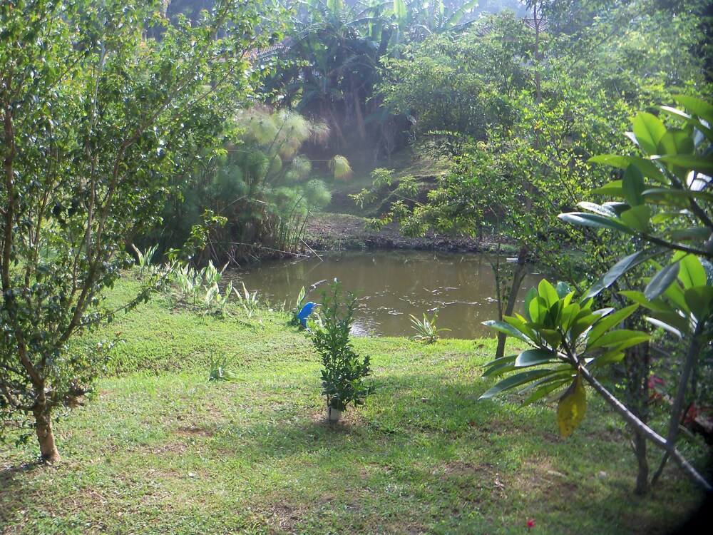 Pousada Recanto Dos Ipês