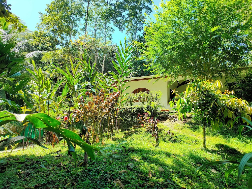 FINCA ARDILLA