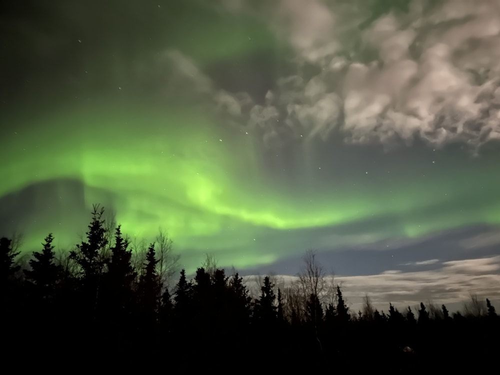 Moose Tracks B  B - Property Image 17