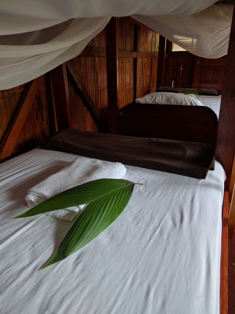 Green forest Ecolodge