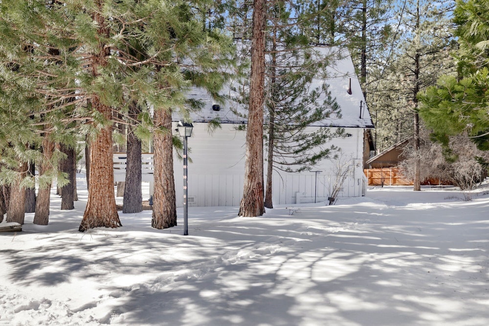 Mid-century Modern Chalet #1927