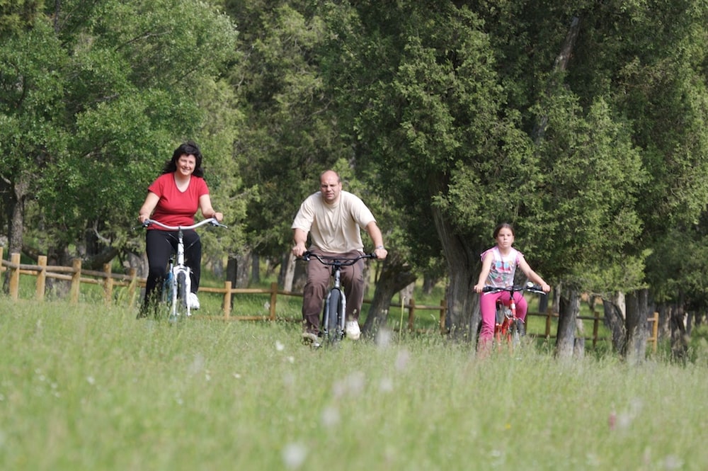 Hotel Restaurante Quintanares - Property Image 21