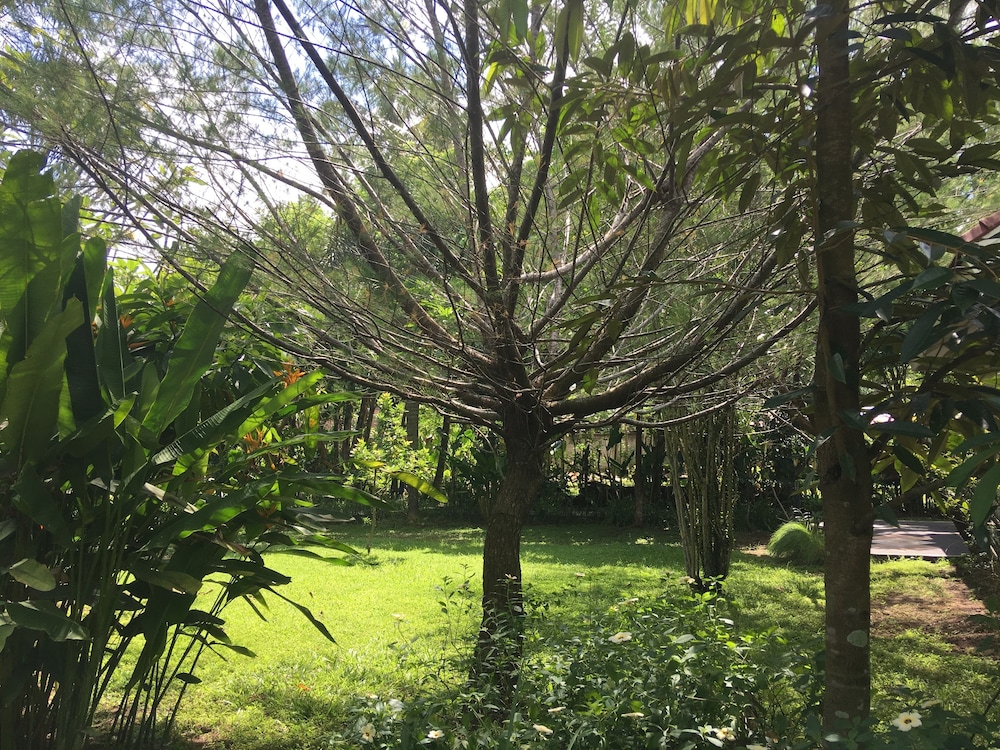 White Orchid Eco Resort