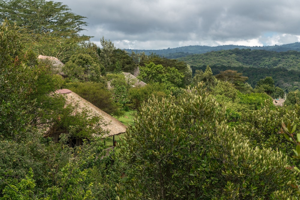 Ngorongoro Forest Tented Lodge