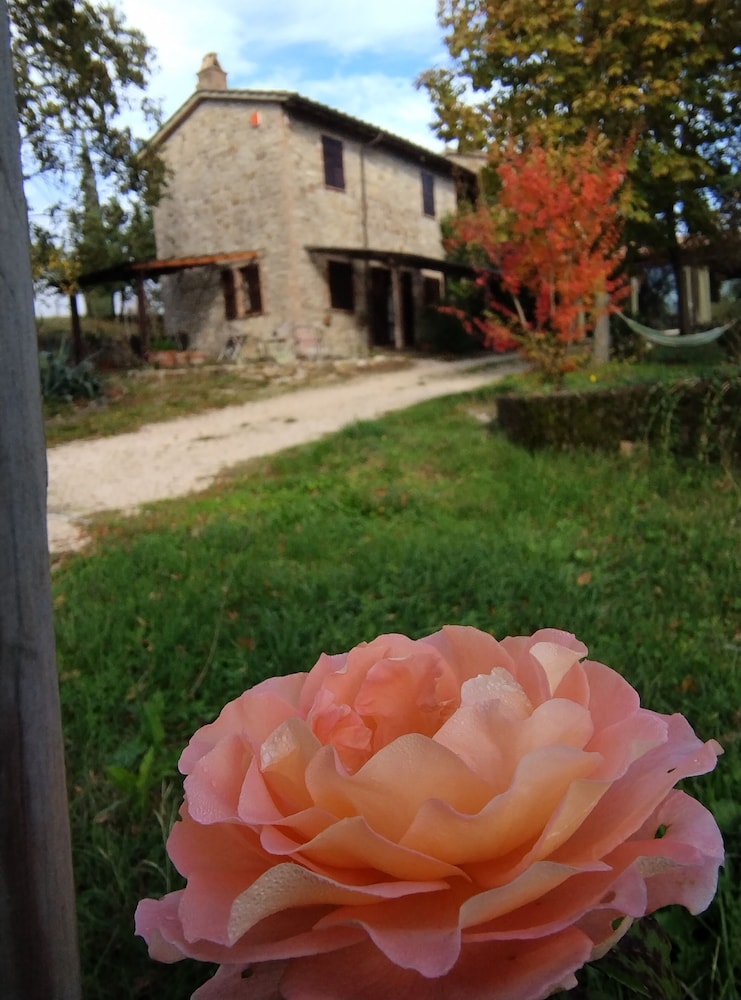 Agriturismo Casa Greppo - Il Noce view 2