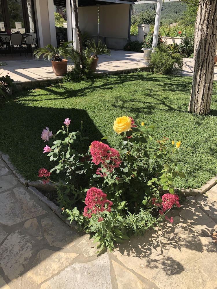 Photo 35