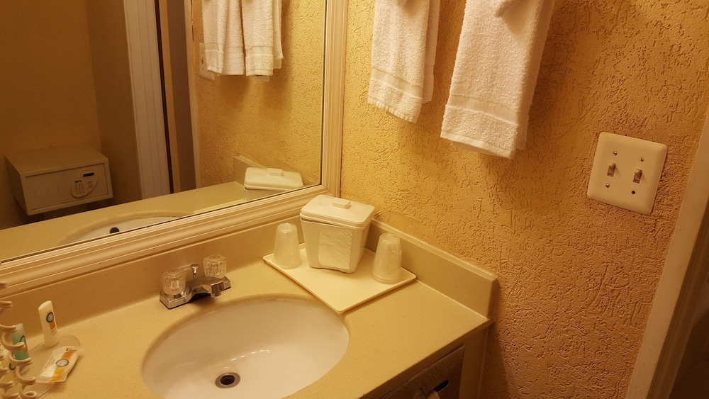 Tampa Vacations - Econo Lodge Busch Gardens - Property Image 13
