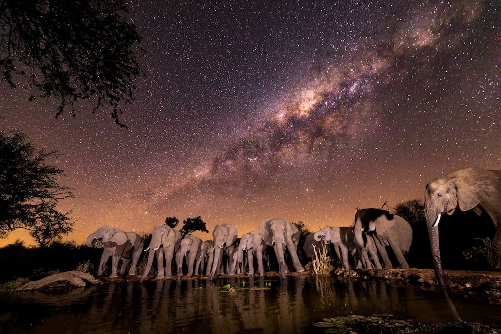Antares Bush Camp & Safaris - Hostel