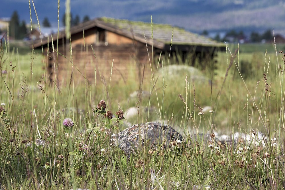 Mountain Village Lodge
