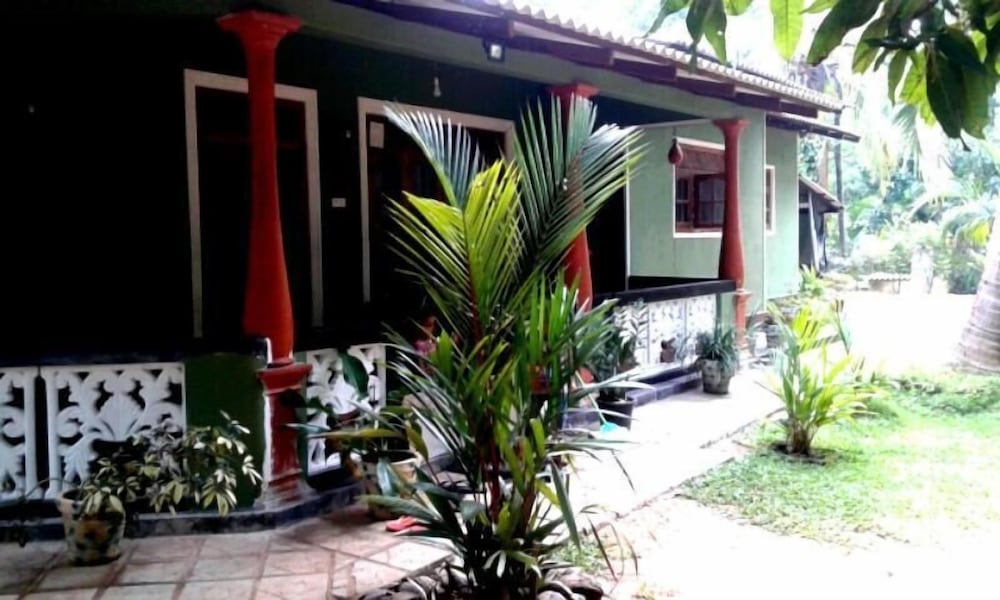 Green Bamboo House