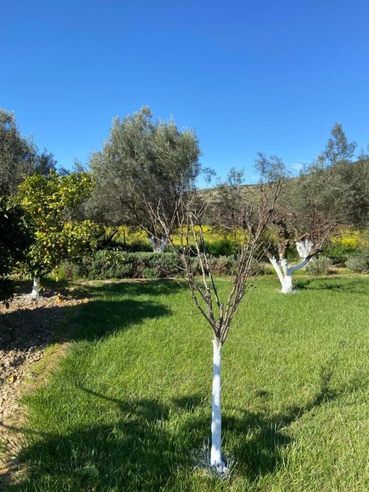Villa Lilandion Luxury and Privacy, photo 9