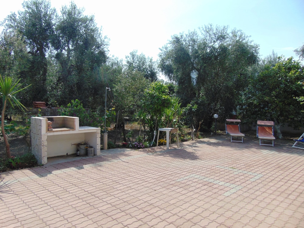 Photo 41
