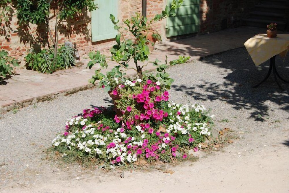 Tenuta il Pino