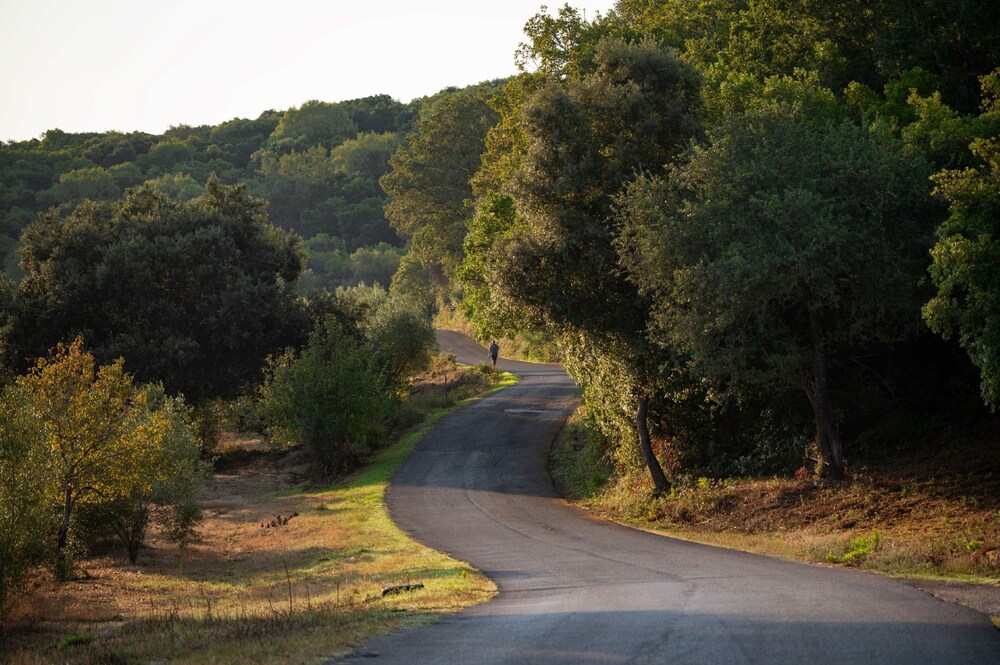 Porto Saint Stephanos