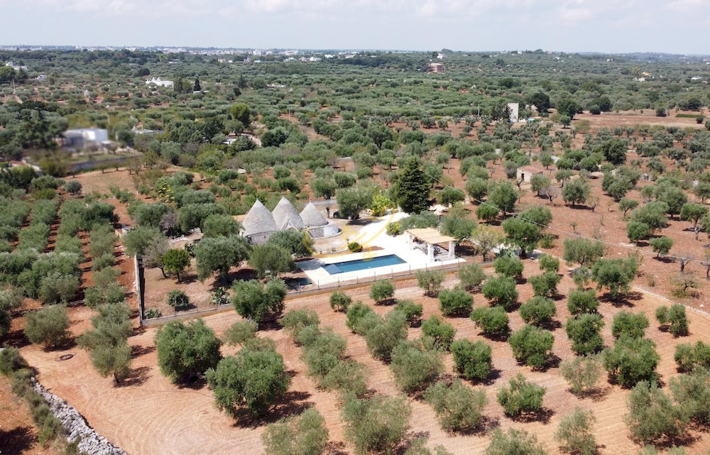 TD Trulli Dell Uliveto Cozy Trulli With Pool view 4