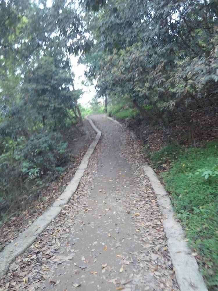 Photo 21